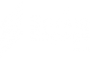 springengage.com-Logo-White
